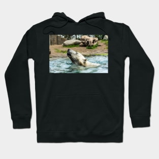 Head of Polar bear above water Hoodie